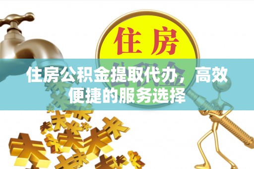 镇宁住房公积金提取代办，高效便捷的服务选择